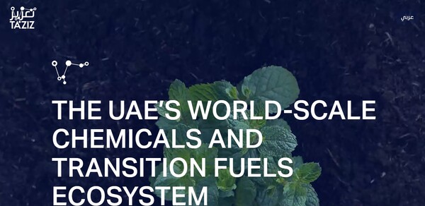  UAE의 타지즈의 홈페이지.