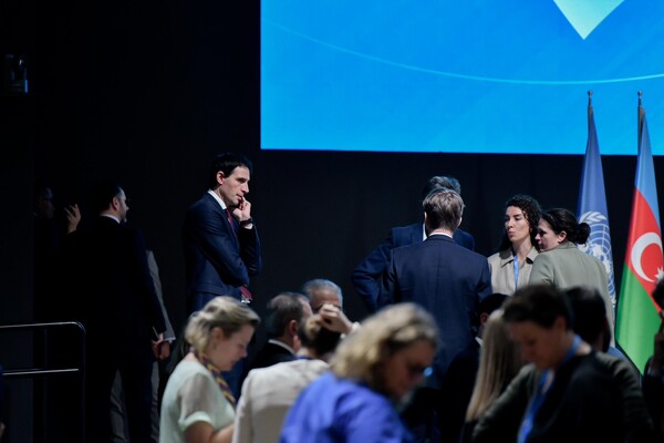 /웝크 훅스트라 X