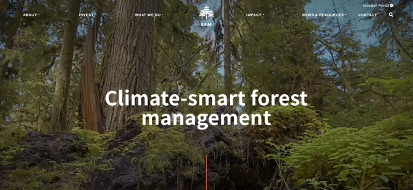 산림 투자 및 관리 기업 EFM의 홈페이지. 