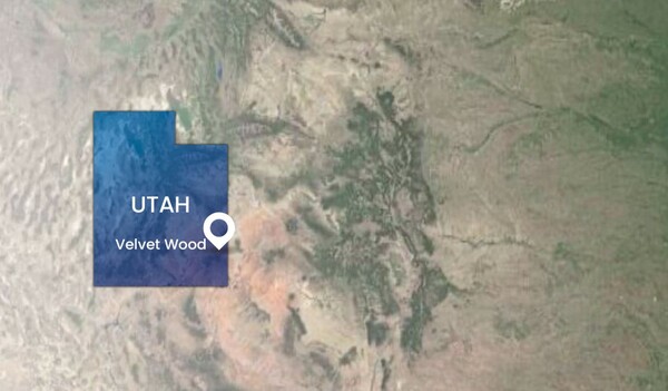 사진=앤필드 에너지