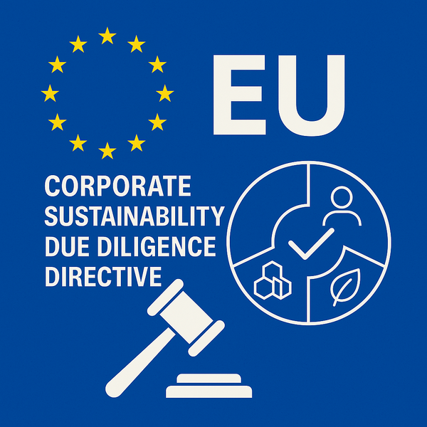  유럽연합과 CSDDD를 주제로 만든 이미지./챗GPT.