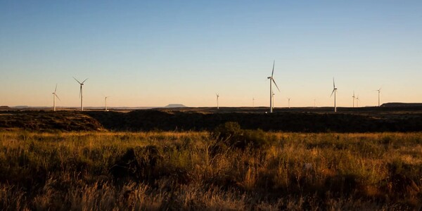 사진=물릴로 홈페이지