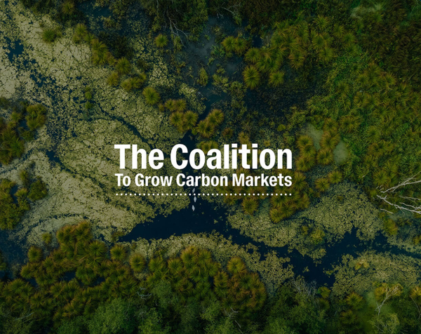 영국 , 케냐, 싱가포르가 자발적 탄소 시장 신뢰 회복을 위한 첫 정부 연합을 출범했다./VCMI