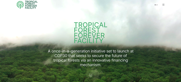  열대우림 영구 보호기금(TFFF)의 공식 홈페이지.