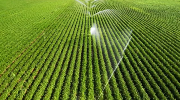 재생농업을 연상시키는 이미지 / 출처 펩시코 유튜브 페이지