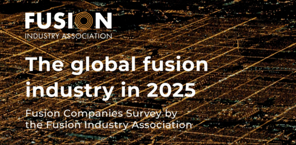 FIA의 2025년 보고서 표지 / 이미지 출처 FIA 홈페이지