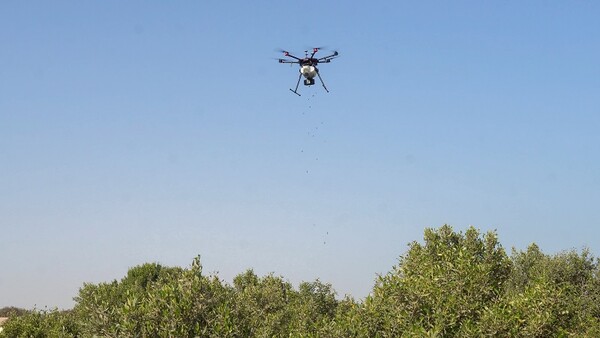 드론 기반 사막 복원 시범사업 / 이미지 출처 EAD 공식 홈페이지