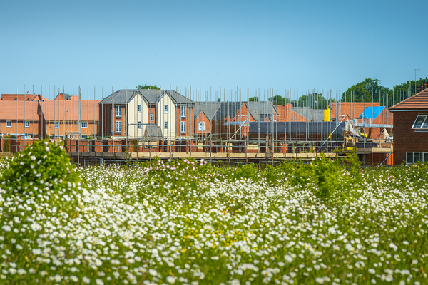 사진=chatgpt 이미지생성