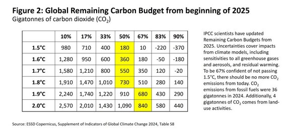 사진=라이스태드 에너지