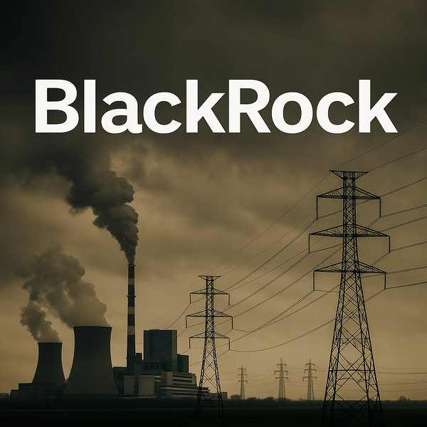 이번 인수가 최종 승인된다면 블랙록이 미네소타의 전력 인프라를 통제하게 될 수도 있다. / ChatGPT 이미지 생성