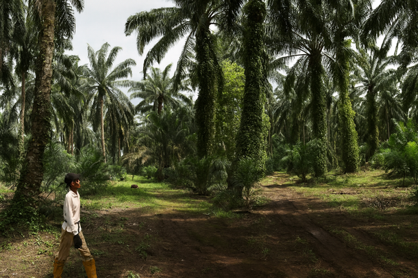 사진=chatgpt 이미지생성