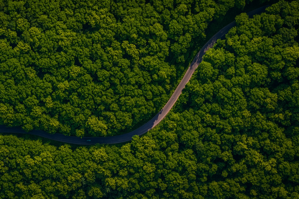 사진=chatgpt 이미지 생성