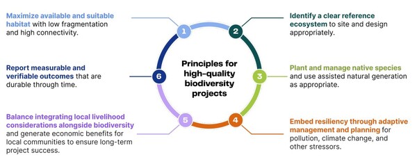 사진=카본 디렉트