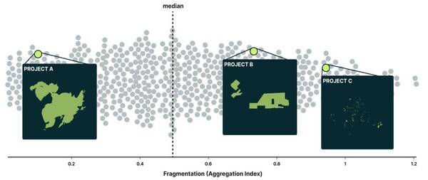 사진=카본 디렉트