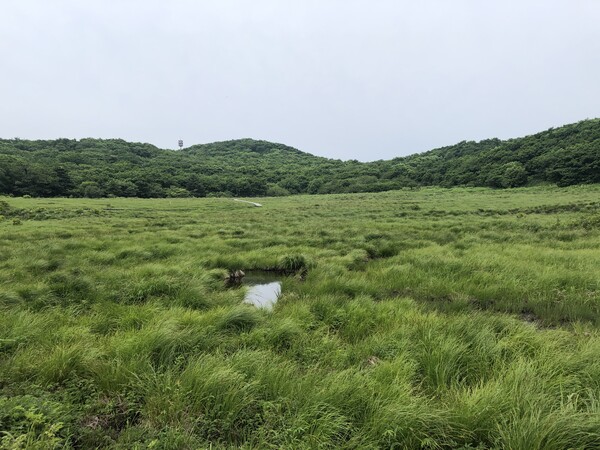  강원도 인제군의 산림유전자원보호구역 전경./산림청.